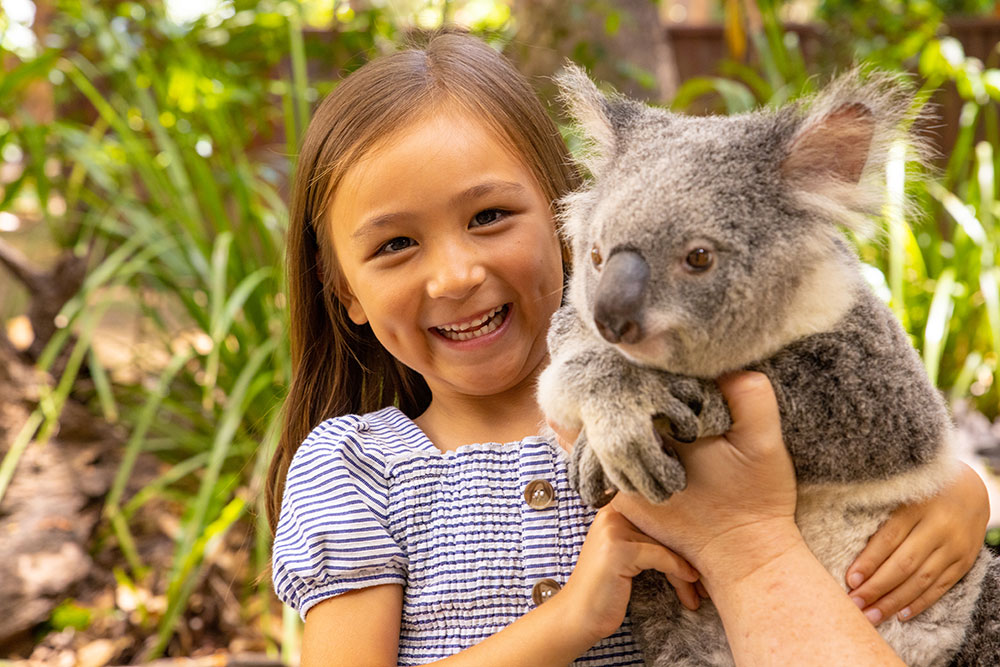 Photo Credit: Tourism Australia/Destination Gold Coast